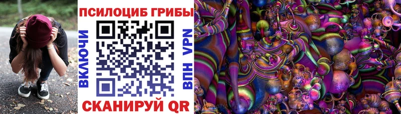 Купить закладки  Ленск  Псилоцибиновые грибы MAGIC MUSHROOMS 